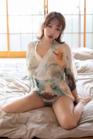 新红楼梦2005